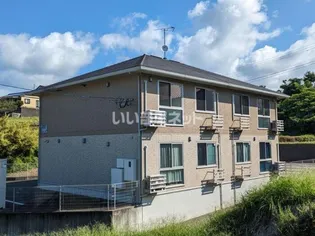 ウィットシバタの画像