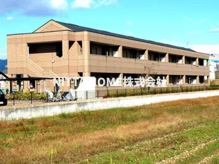 ルピナス ネオコートの画像