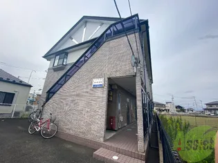 ダンディピースの画像