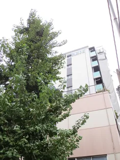 八丁堀レジデンス壱番館の画像