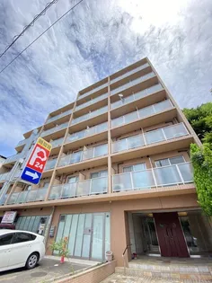 ベルパーシモンの画像