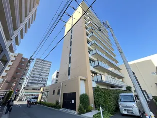 ボワ デ コガネの画像