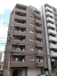 EVER GRACEの画像