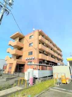 クレアールⅡの画像