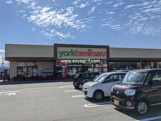 グレースフルシティ神町南【1階】の周辺