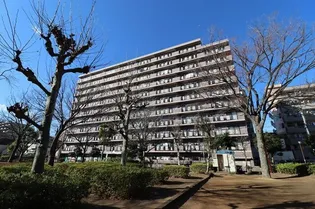 グランディス新八柱【2階】の外観