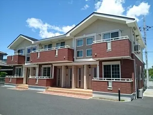 ハミングバードの画像