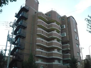 大阪府大阪市平野区長吉川辺3【マンション】の外観