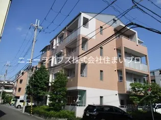 コルナスアベニューの画像