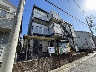 パタータの画像