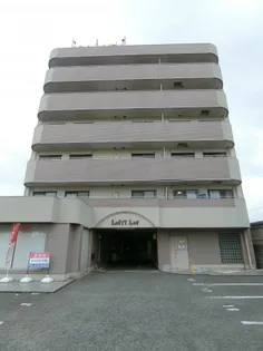 ロフティロットの画像