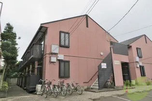 アクシスの画像