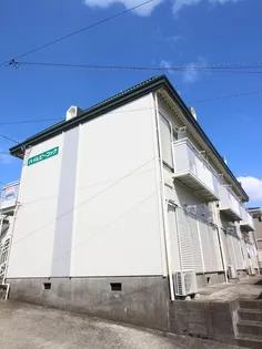 ハイムピーコックの画像