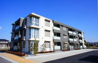 ドルチェカーザ【3階】の間取り