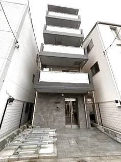 MAXIV蓮根の画像