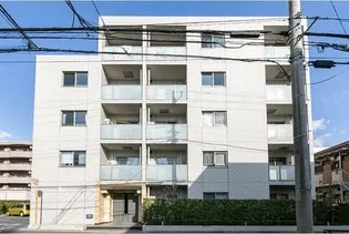 フェリチターレの画像