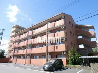 プレミール TNの画像