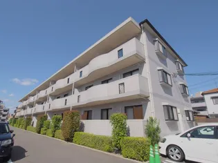 エントピア矢野の画像