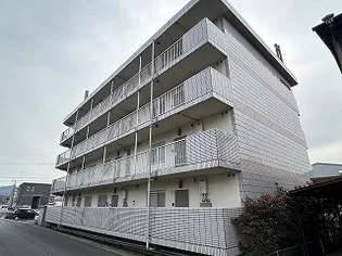 エスペランス5の画像