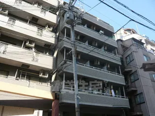 テレサエンバシの画像