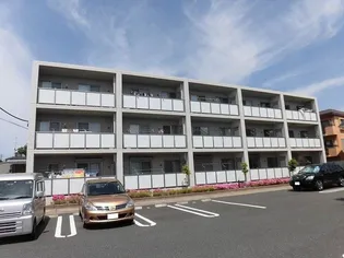 フェリーチェの画像