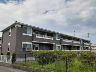 アルカンシエルIIIシクラメンの画像