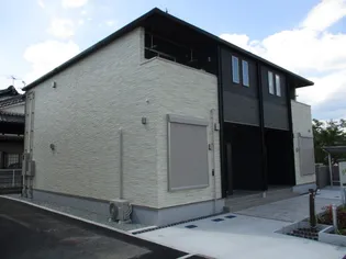 ピーチブロッサムの画像