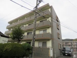 ヴェルデフォーユーIIIの画像