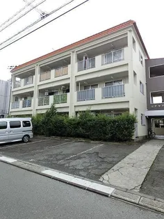 ピア ヤマヒサの画像