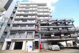 ルクソール錦の画像