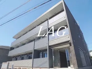 ヒプソフィアの画像