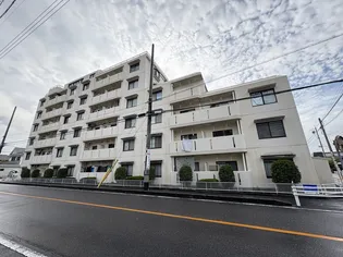 センチュリーコート緑の画像