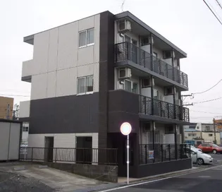 グラシュの画像