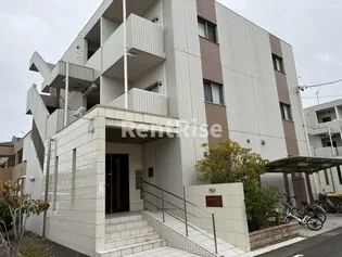 オアシスの画像