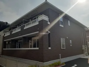 カミゼンの画像