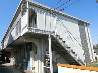 サンホワイトAの画像