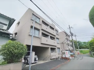 サンハイツ新大宮【3階】の外観