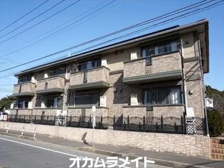 ウィルモアKの画像