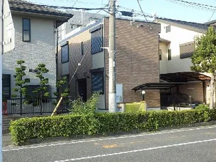 レーヴの画像