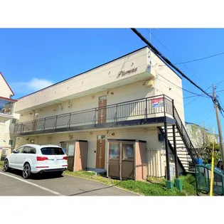 プルメリアの画像