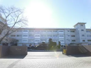 アメジストステージ(茂呂町)【2階】の周辺