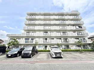 ルネ青山の画像