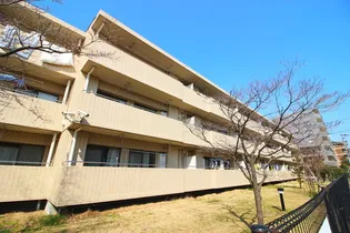 パレ コンセールの画像