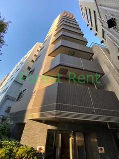 アルテシモアルドの画像