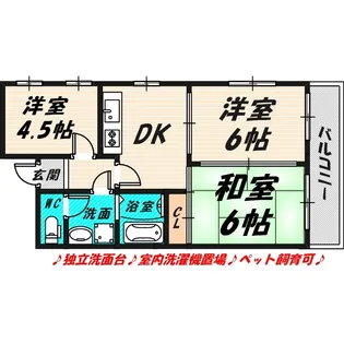 ラフィーネ鶴丸【5階】の間取り