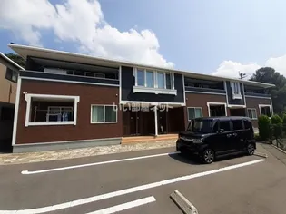 シトラスCの画像