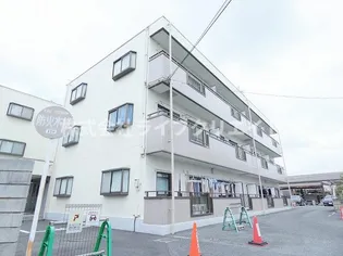 アムールオオカサの画像