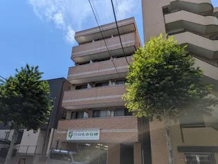 AMAPOLAの画像