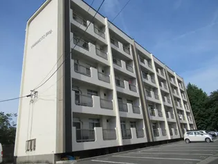 山本ビル【4階】の外観