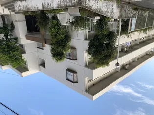 ドミールウメダの画像